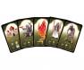 Drustvena igra, drustvene igre, Beograd, Prodaja, Srbija, zabava, fantasy, sci-fi,Tales of the Arabian Nights